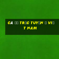 cá độ trực tuyến ở việt nam