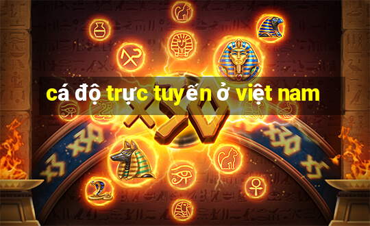 cá độ trực tuyến ở việt nam