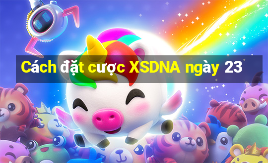 Cách đặt cược XSDNA ngày 23