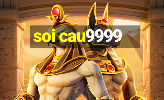 soi cau9999