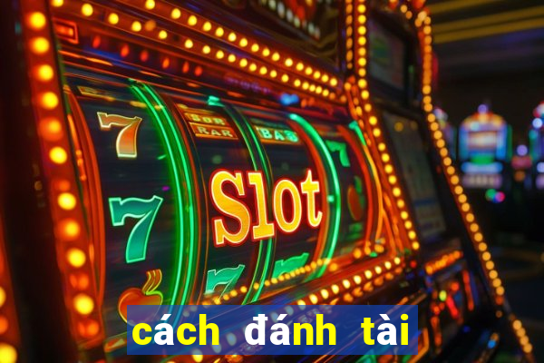 cách đánh tài xỉu trên kubet