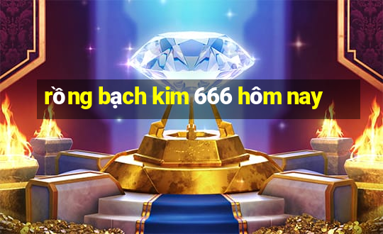 rồng bạch kim 666 hôm nay