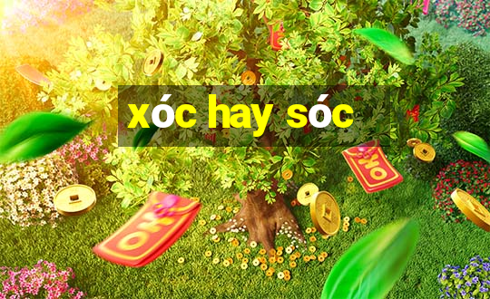 xóc hay sóc