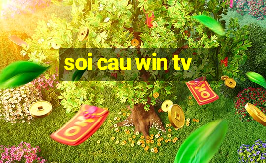 soi cau win tv