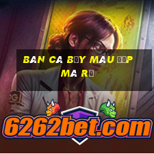 bán cá bảy màu đẹp mà rẻ