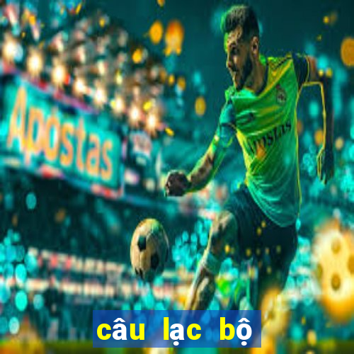 câu lạc bộ bóng đá borussia dortmund