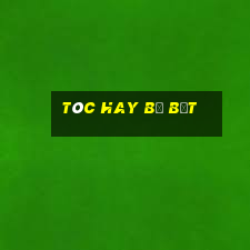 tóc hay bị bết