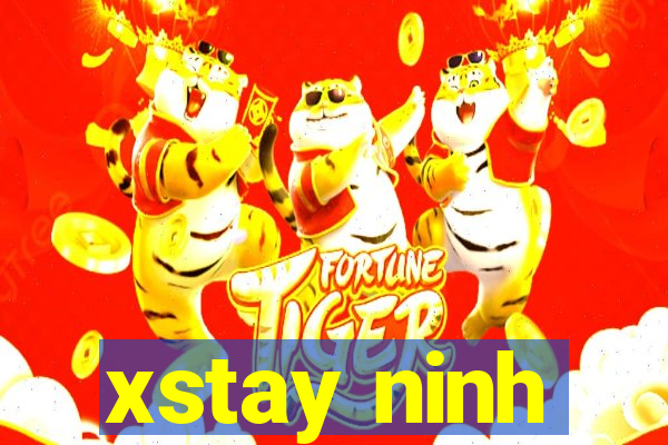 xstay ninh