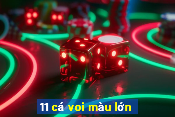 11 cá voi màu lớn