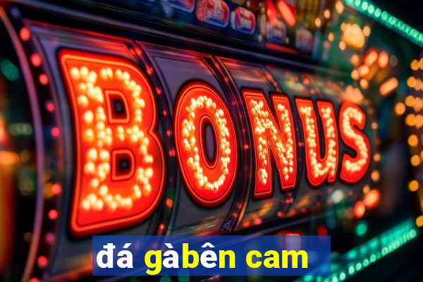 đá gà bên cam