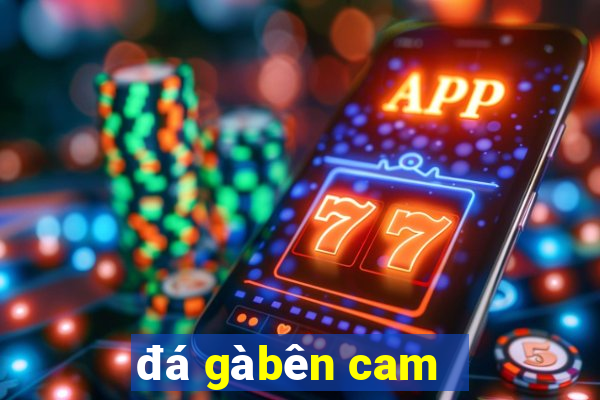 đá gà bên cam