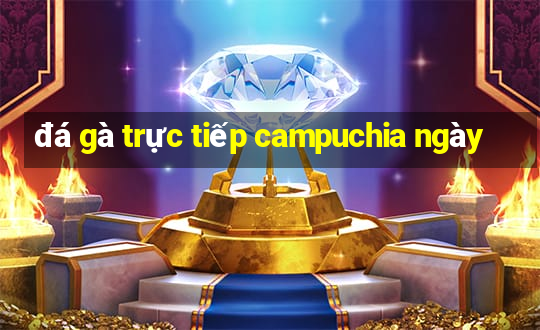 đá gà trực tiếp campuchia ngày