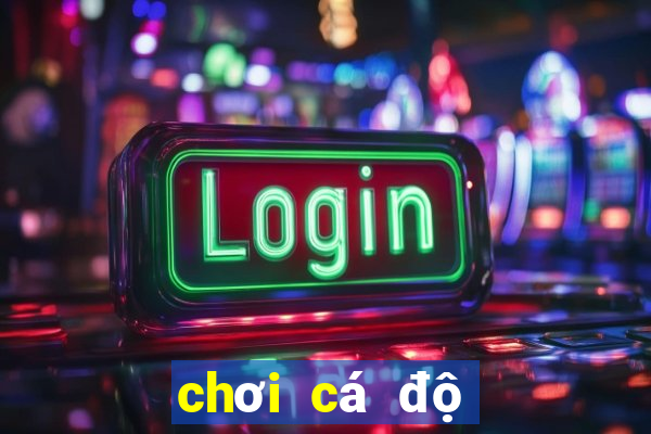 chơi cá độ bóng đá