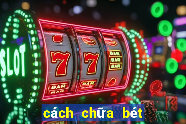 cách chữa bét cho chó