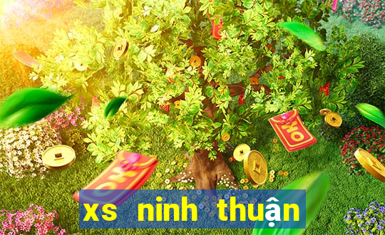 xs ninh thuận hôm nay