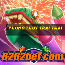 phong thuy trai thai