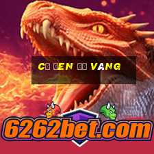 cờ đen đỏ vàng