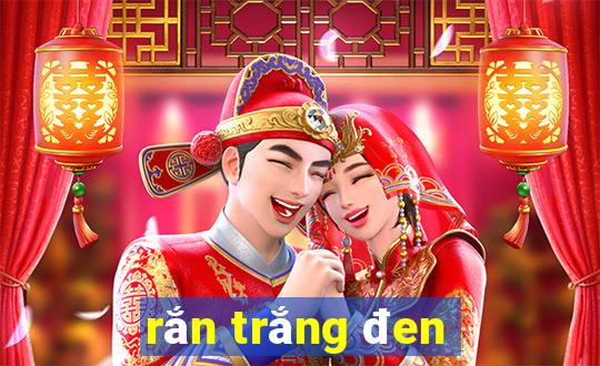 rắn trắng đen