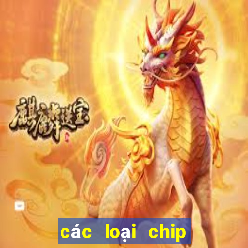 các loại chip trong casino