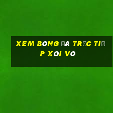 xem bóng đá trực tiếp xôi vò