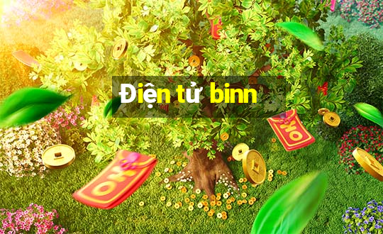 Điện tử binn