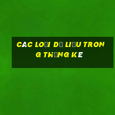 Các loại dữ liệu trong thống kê