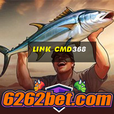 link cmd368