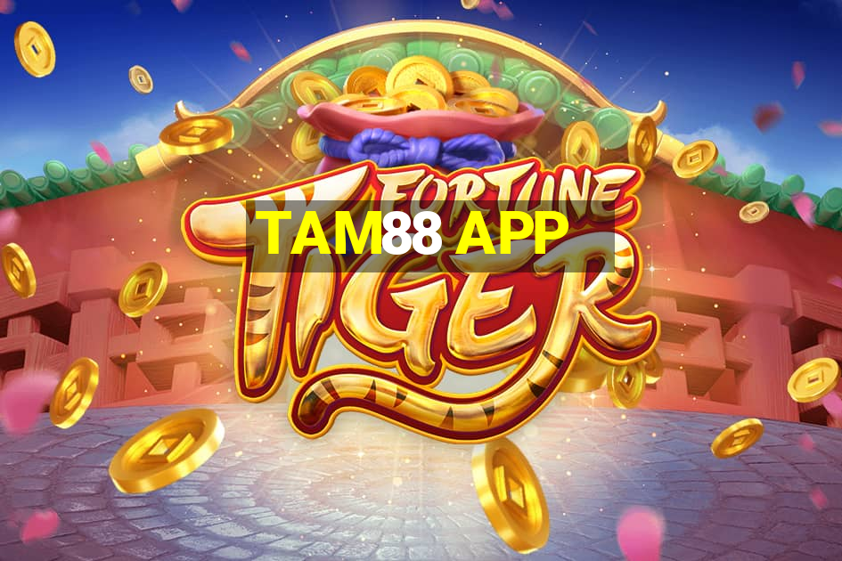 TAM88 APP