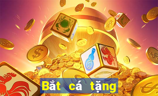 Bắt cá tặng 30 chỉ vàng