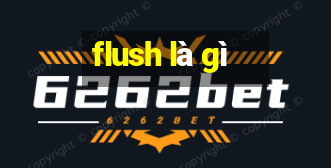 flush là gì