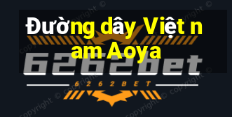 Đường dây Việt nam Aoya