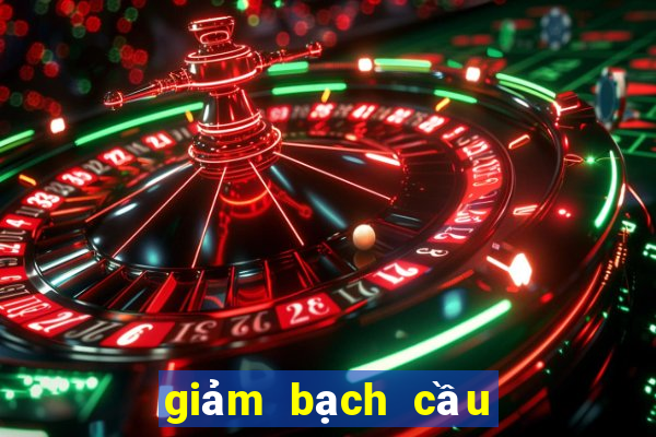 giảm bạch cầu ở mèo