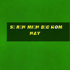 số rắn miền bắc hôm nay