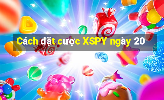 Cách đặt cược XSPY ngày 20