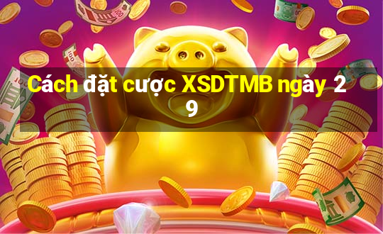 Cách đặt cược XSDTMB ngày 29