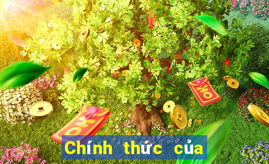 Chính thức của Bimega giải trí