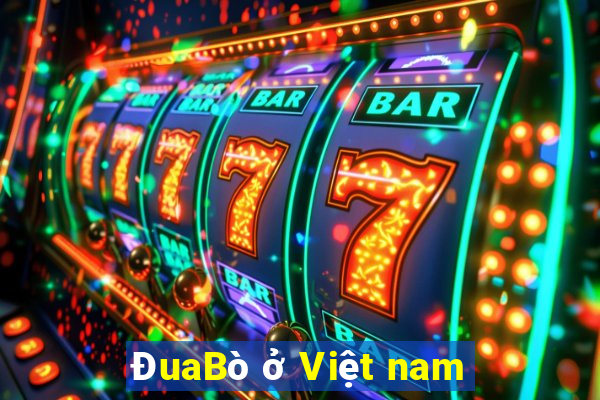 ĐuaBò ở Việt nam