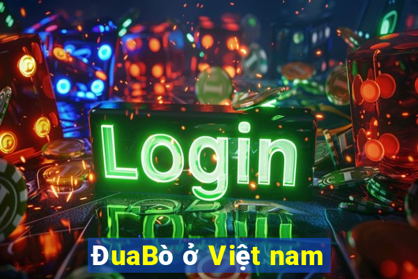 ĐuaBò ở Việt nam