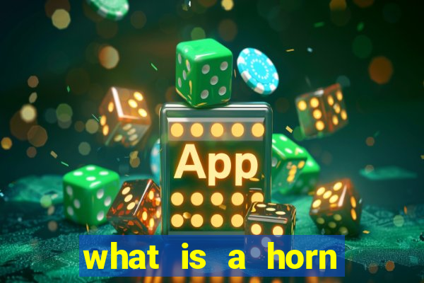 what is a horn bet in craps