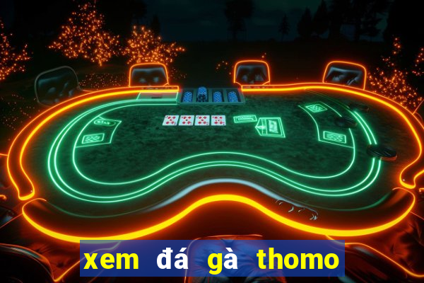 xem đá gà thomo hôm nay