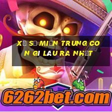 xổ số miền trung con gì lâu ra nhất