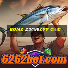 BOMA 23499app Cược