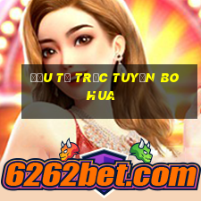 Đầu tư trực tuyến Bohua