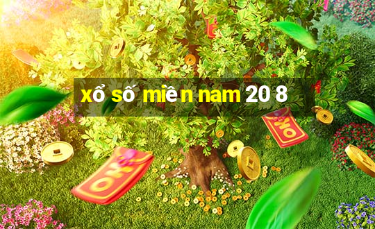 xổ số miền nam 20 8