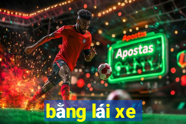 bằng lái xe