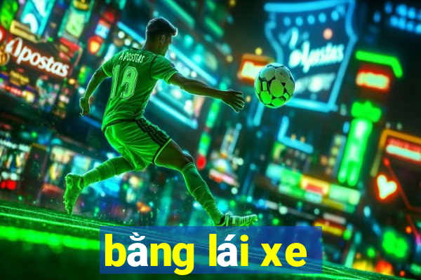 bằng lái xe