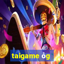 taigame ỏg