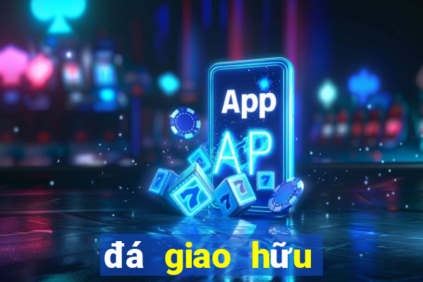 đá giao hữu việt nam