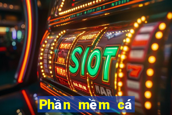 Phần mềm cá cược bóng đá Tải về