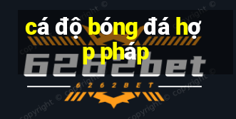 cá độ bóng đá hợp pháp